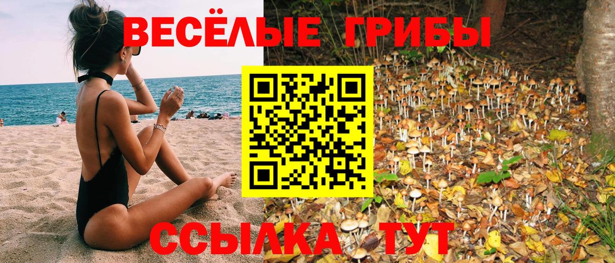 Псилоцибиновые грибы ЛСД  Вход с VPN  Елец  Псилоцибиновые грибы MAGIC MUSHROOMS 